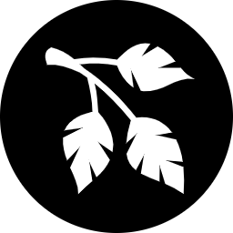 Icon of leafy branch